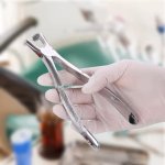 Extraction Forceps Kit - Adult