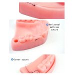 Dental Suture Training Kit – Alveolar Mucosa Simulation with Tools