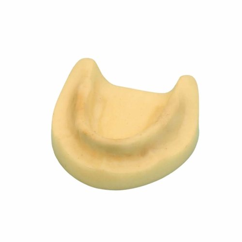 Dental Implant Practice Model